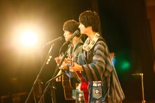 さくらしめじ（撮影：ハヤシサトル）