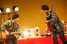 さくらしめじ（撮影：ハヤシサトル）