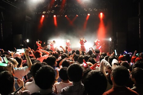 「わーしっぷ大感謝祭2017～NEKONOTE借りちゃいました～」の様子。（写真提供：エイベックス）