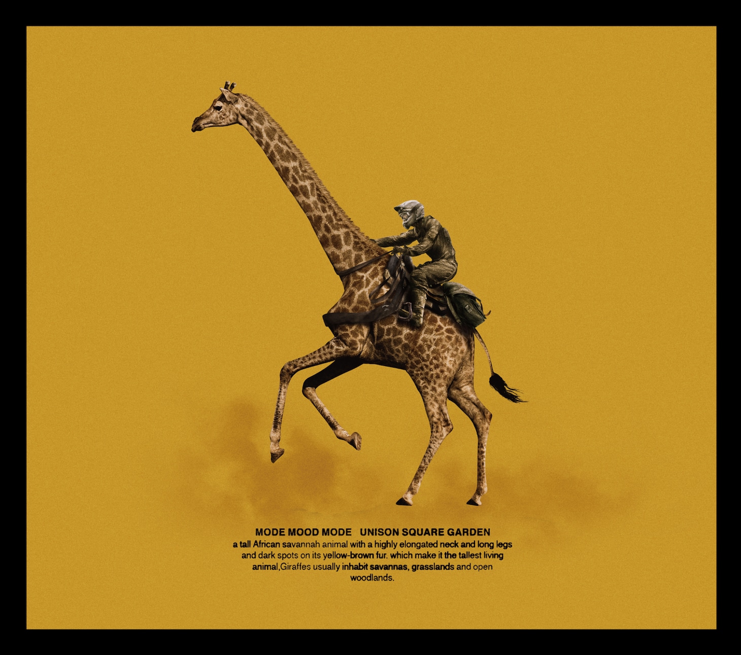 UNISON SQUARE GARDEN「MODE MOOD MODE」ジャケット