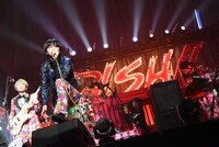DISH//の日本武道館ワンマンの様子。