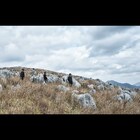 LILI LIMIT、2月リリースの新作CDより収録曲続々オンエア