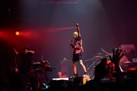 Fear, and Loathing in Las Vegas