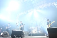 ポルカドットスティングレイ