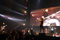 夜の本気ダンス