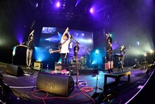 キュウソネコカミ