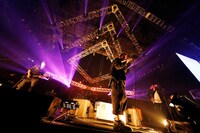 Survive Said The Prophet