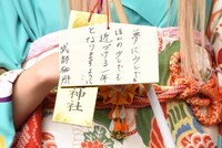 武部柚那の絵馬。