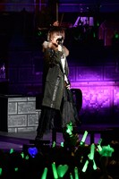 うらたぬき（撮影：小松陽祐［ODD JOB］、岡本麻衣）