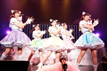 「わーすた LIVE TOUR 2017 パラドックス ワールド」東京・マイナビBLITZ赤坂公演の様子。（写真提供：エイベックス）