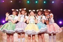 「わーすた LIVE TOUR 2017 パラドックス ワールド」東京・マイナビBLITZ赤坂公演の様子。（写真提供：エイベックス）