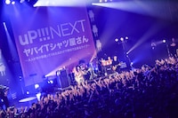 ヤバイTシャツ屋さん「uP!!!NEXT ヤバイTシャツ屋さん ～大人が色々頑張ってくれたおかげで無料で出来るライブ～」の様子。（Photo by Azusa Takada）