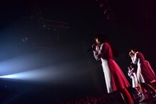 アイドルネッサンス