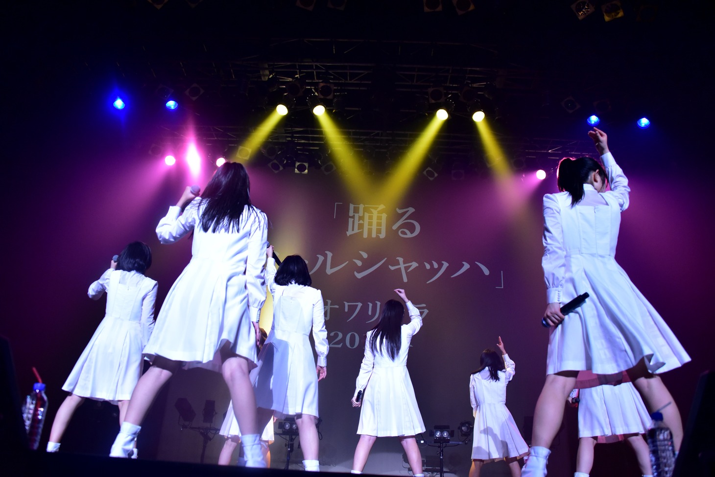 アイドルネッサンス