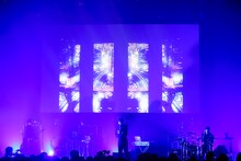 雨のパレード「ame_no_parade x LIVE TIPS Special Live presented by WOWOW」の様子。（撮影：西槇太一）