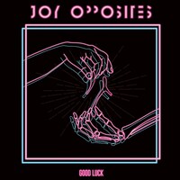 Joy Opposites「Good Luck」ジャケット