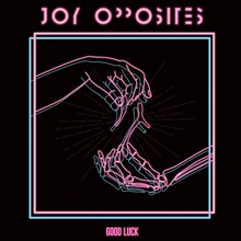Joy Opposites「Good Luck」ジャケット