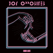 Joy Opposites「Good Luck」ジャケット