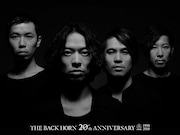 THE BACK HORN