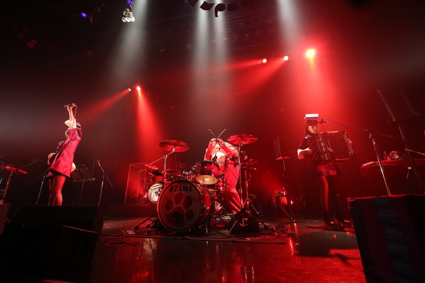 左からもも（Vo）、にゃんごすたー（Dr）、小春（Accordion）。（写真提供：エイベックス）