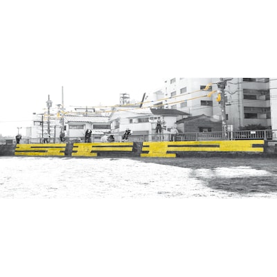 STRUGGLE FOR PRIDE「YOU BARK,WE BITE.」ジャケット