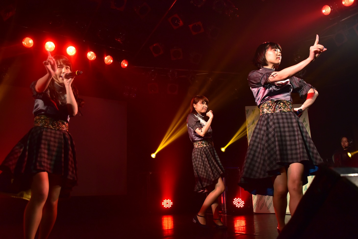 Negicco