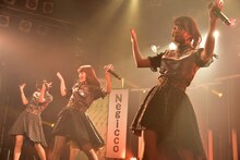 新曲「カリプソ娘に花束を」を披露するNegicco。