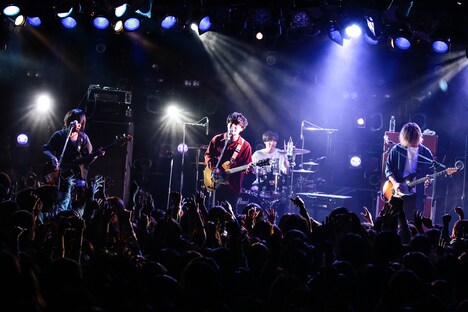 Halo at 四畳半(撮影:白石達也)