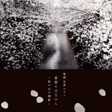 亀渕友香「亀渕友香ベスト 思想のはなびら～私の心の指針～」ジャケット