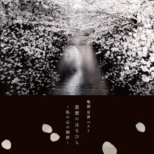 亀渕友香「亀渕友香ベスト 思想のはなびら～私の心の指針～」ジャケット