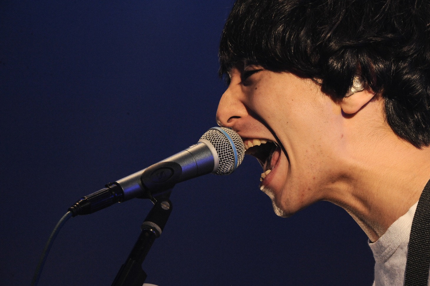椎木知仁（Vo, G）（Photo by MASANORI FUJIKAWA）