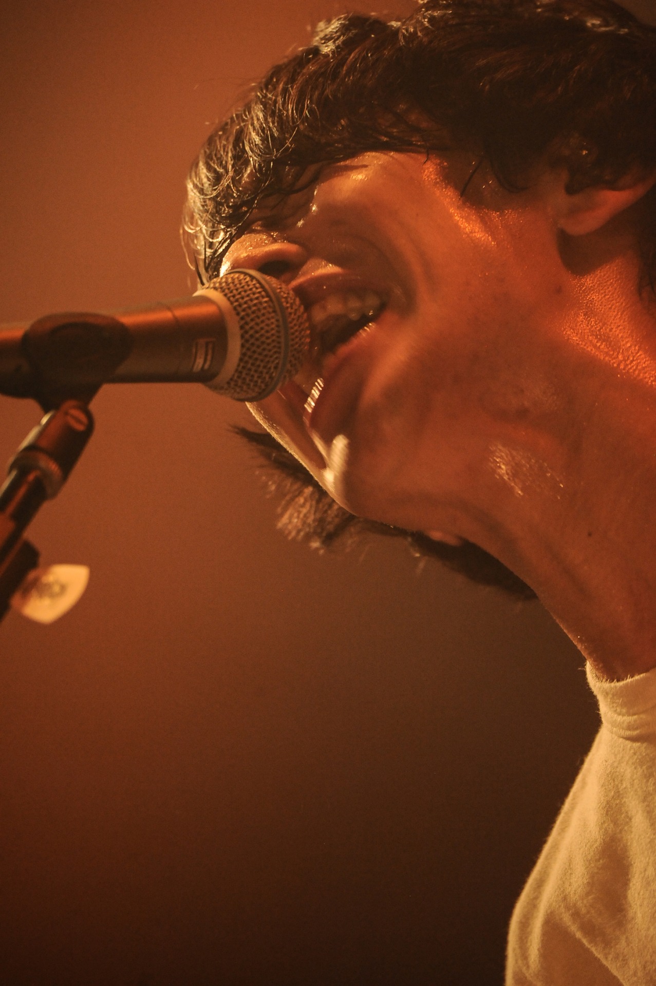 椎木知仁（Vo, G）（Photo by MASANORI FUJIKAWA）