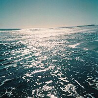 くるり「その線は水平線」ジャケット