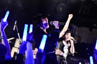 鏡るびい（THE 夏の魔物）（撮影：橋本塁）