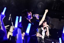 鏡るびい（THE 夏の魔物）（撮影：橋本塁）