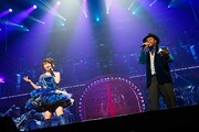 「NANA MIZUKI LIVE GATE 2018」4日目のゲスト、クリス・ハート。（写真提供：キングレコード）