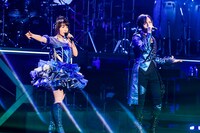 「NANA MIZUKI LIVE GATE 2018」6日目のゲスト・蒼井翔太。（写真提供：キングレコード）