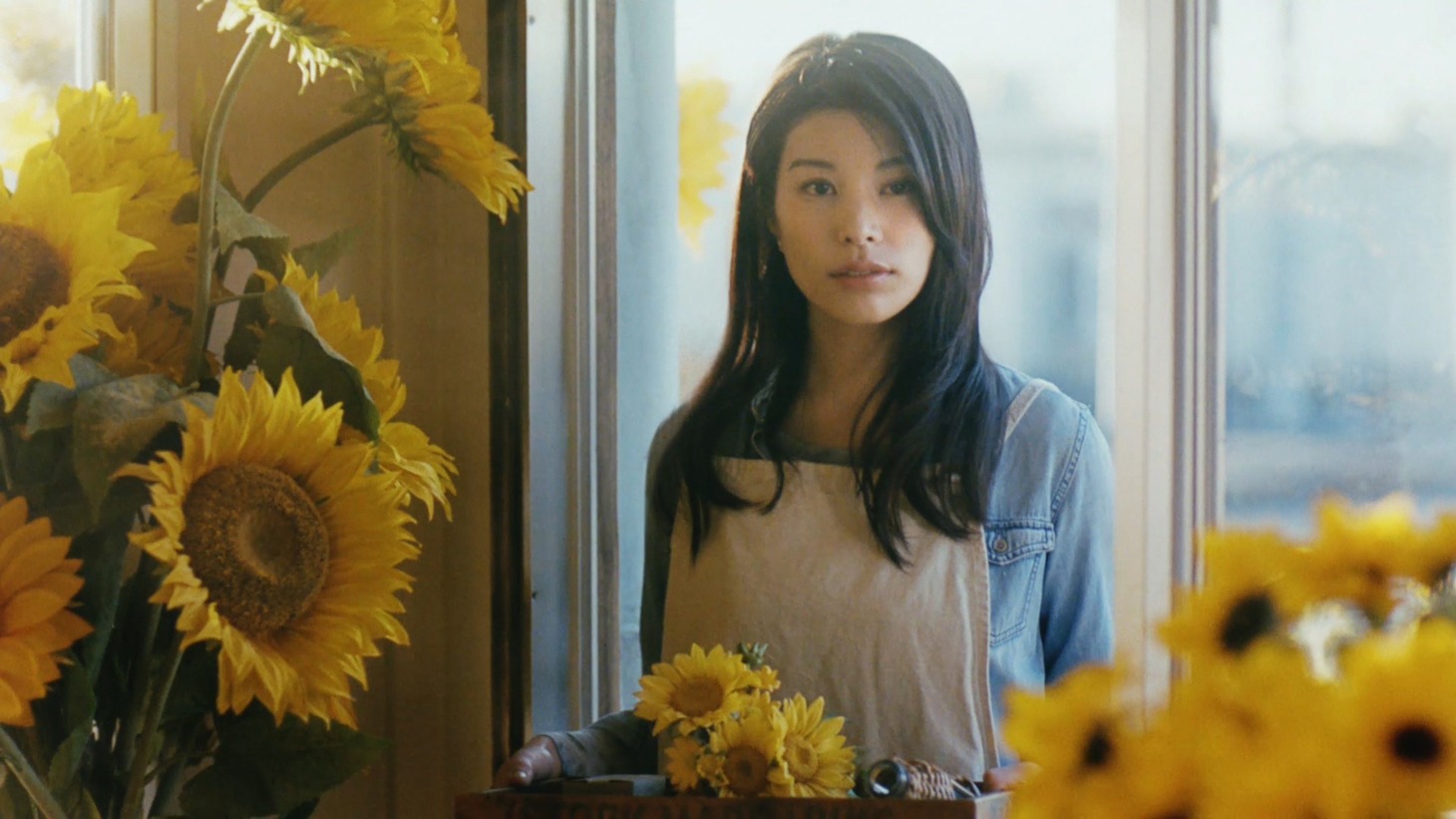 テレビCM「ディアボーテHIMAWARI」のワンシーン。