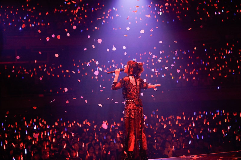 水樹奈々 LIVE GATE 2018 1/13 (土) 日本武道館 立ち見席 一枚