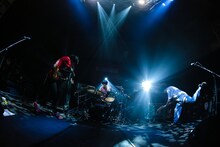 Saucy Dog（撮影：白石達也）