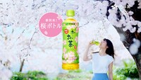 伊藤園「お～いお茶」新CM「新鮮、春一番」編のワンシーン。
