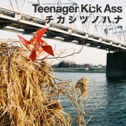 Teenager Kick Ass「チカシツノハナ」ジャケット