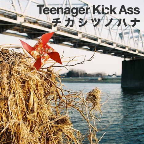 Teenager Kick Ass「チカシツノハナ」ジャケット
