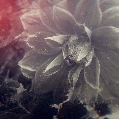 MONDO GROSSO「偽りのシンパシー」配信ジャケット