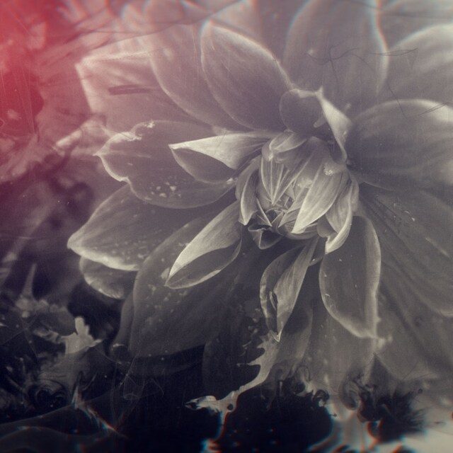 MONDO GROSSO「偽りのシンパシー」配信ジャケット