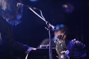 warbear「warbear tour 2018 "鳥と熊と野兎と魚"」東京・WWW公演の様子。(Photo by Shunsuke Irihi)