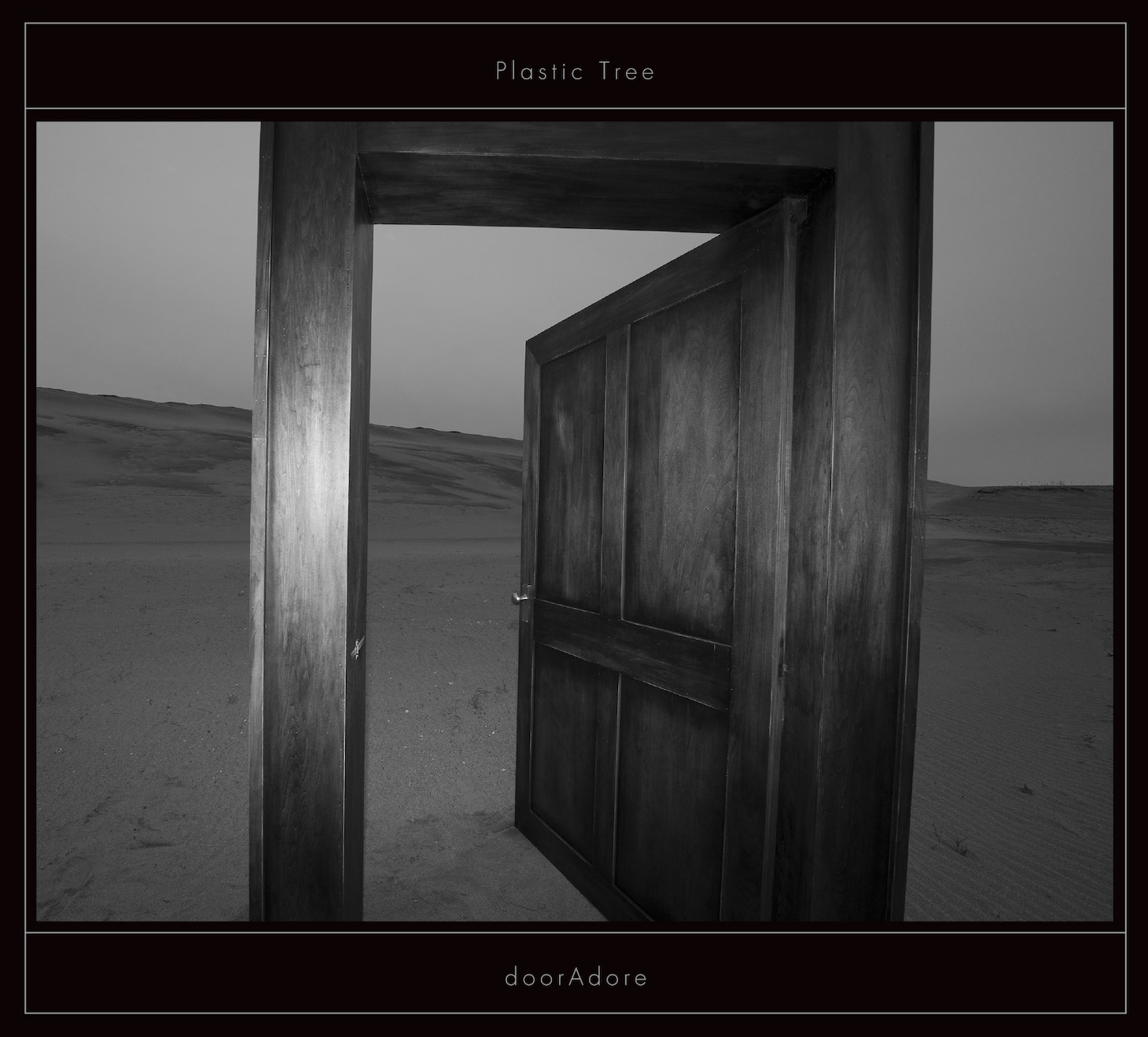 Plastic Tree「doorAdore」完全生産限定盤Bジャケット