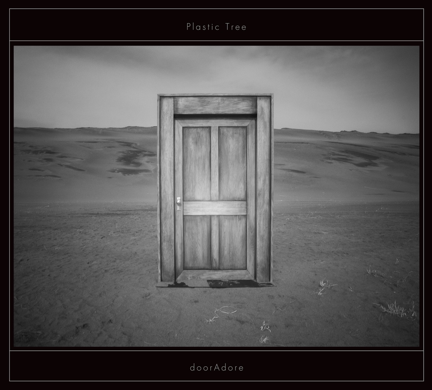 Plastic Tree「doorAdore」完全生産限定盤Aジャケット