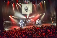 DOPING PANDA（撮影：清水ケンシロウ）