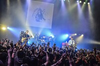 DOPING PANDA（撮影：清水ケンシロウ）